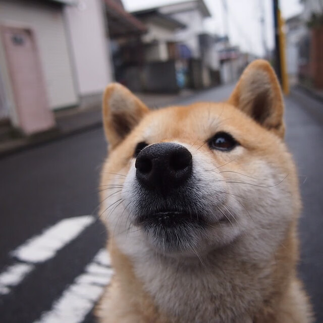 职业球队心理辅导机制为何薄弱